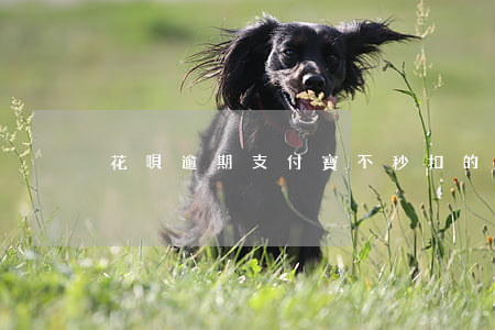 花唄逾期支付寶不秒扣的方法