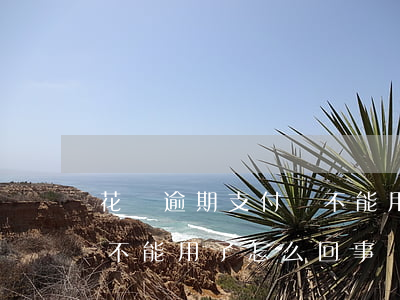 花唄逾期支付寶不能用(支付寶沒有逾期花唄不能用了怎么回事)