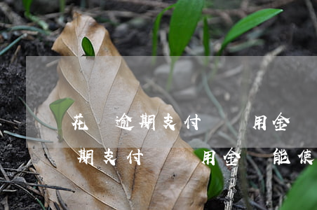 花唄逾期支付寶備用金還能使用嗎-花唄逾期支付寶備用金還能使用嗎安全嗎