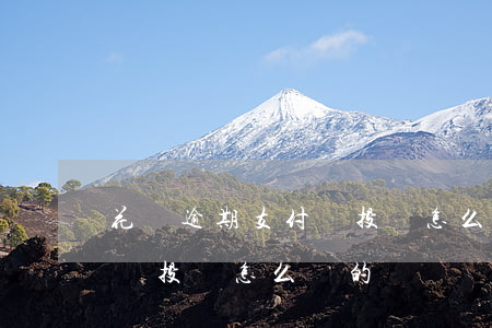 花唄逾期支付寶投訴怎么說-花唄逾期支付寶投訴怎么說的