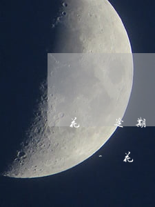 花唄逾期支付寶收款會(huì)直接扣掉嗎-花唄逾期支付寶收款會(huì)直接扣掉嗎安全嗎