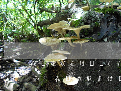 花唄逾期支付寶發(fā)短信說要寄律師函-花唄逾期支付寶發(fā)短信說要寄律師函是真的嗎