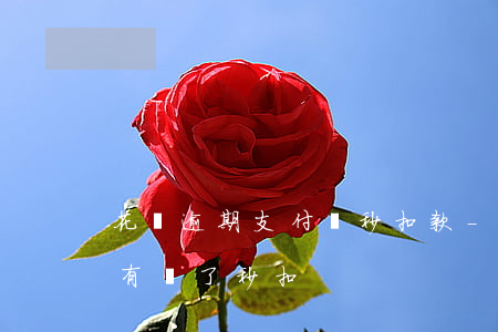 花唄逾期支付寶秒扣款-花唄逾期后支付寶有錢了秒扣