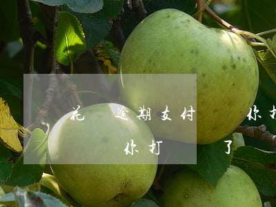 花唄逾期支付寶給你打電話-花唄逾期支付寶給你打電話了