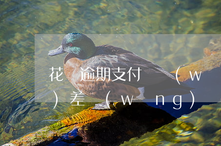 花唄逾期支付寶網(wǎng)絡(luò)差(網(wǎng)貸逾期會影響支付寶的花唄借唄嗎?)