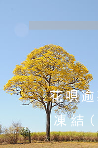 花唄逾期支付寶賬戶-花唄逾期支付寶賬戶凍結(jié)