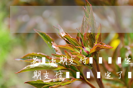 花唄逾期支付寶賬戶綁定了別人的-花唄逾期支付寶賬戶綁定了別人的銀行卡