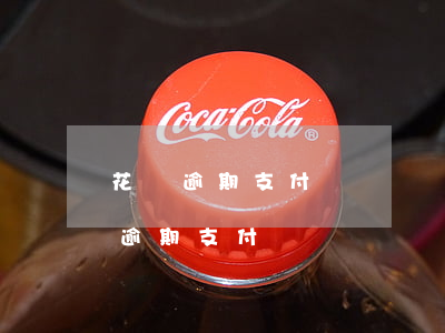 花唄逾期支付寶賬號凍結(jié)-花唄逾期支付寶賬號凍結(jié)了