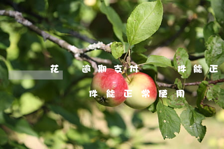 花唄逾期支付寶軟件能正常-花唄逾期支付寶軟件能正常使用嗎