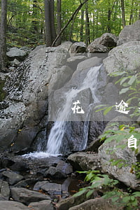花唄逾期支付寶錢自動還款嗎（花唄逾期支付寶錢自動還款嗎）