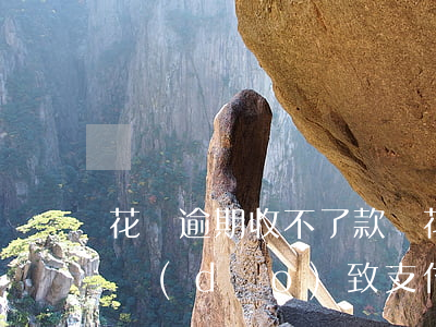 花唄逾期收不了款嗎(花唄逾期會(huì)導(dǎo)致支付寶不能收錢(qián)嗎)