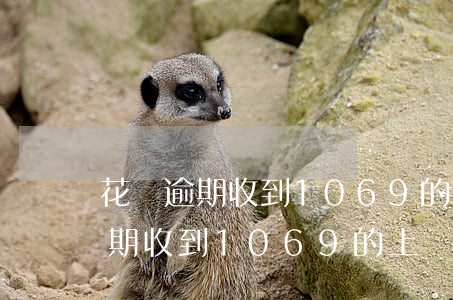 花唄逾期收到1069的上門短信-花唄逾期收到1069的上門短信是真的嗎