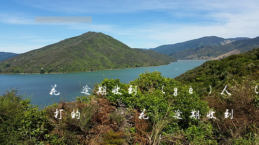 花唄逾期收到個(gè)人號(hào)碼打的電話-花唄逾期收到個(gè)人號(hào)碼打的電話是真的嗎