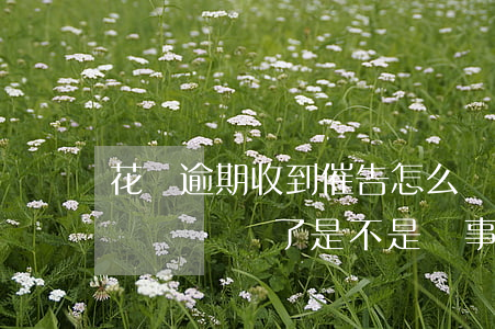 花唄逾期收到催告怎么辦(花唄逾期催收電話過來錢還了是不是沒事了)