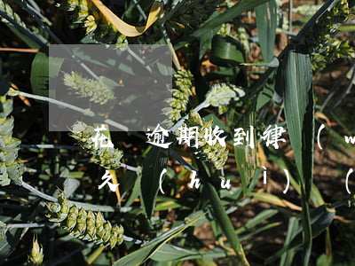 花唄逾期收到律務(wù)通告(花唄逾期多久會(huì)發(fā)人民法院什么的信息警告)