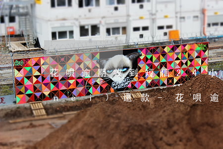 花唄逾期收到短信24小時(shí)內(nèi)還款-花唄逾期收到短信24小時(shí)內(nèi)還款是真的嗎