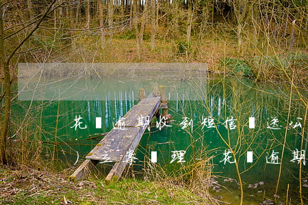 花唄逾期收到短信報送公安機關(guān)立案處理-花唄逾期收到短信報送公安機關(guān)立案處理是真的嗎