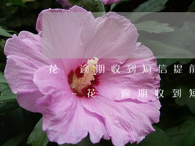 花唄逾期收到短信提前結(jié)清怎么辦-花唄逾期收到短信提前結(jié)清怎么辦呢