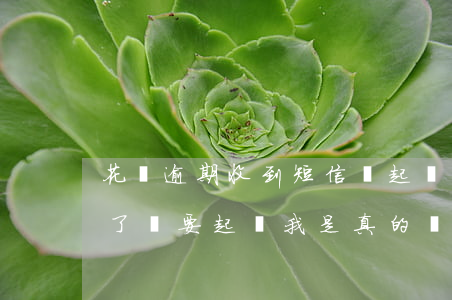 花唄逾期收到短信說起訴(花唄逾期打電話來了說要起訴我是真的嗎)