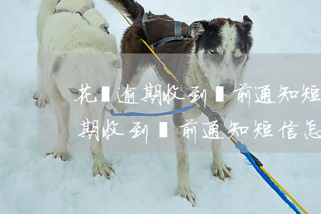 花唄逾期收到訴前通知短信怎么辦-花唄逾期收到訴前通知短信怎么辦呢