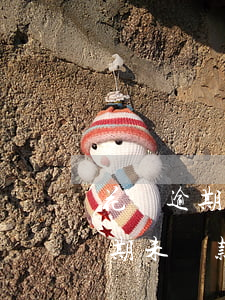 花唄逾期收到通知含信息(收到支付寶花唄逾期未還款短信)