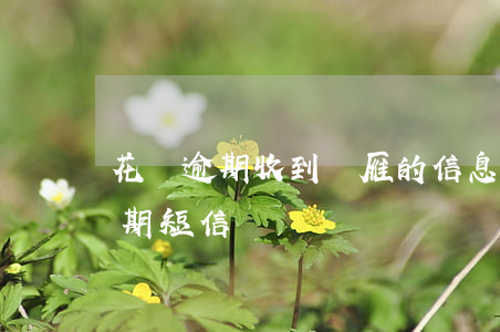 花唄逾期收到銀雁的信息(支付寶花唄收到逾期短信)