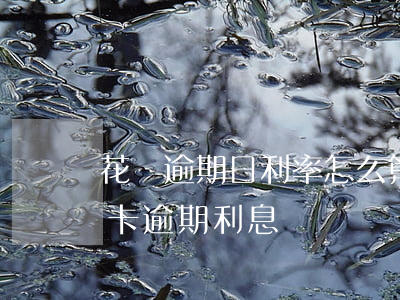 花唄逾期日利率怎么算(花唄逾期利息和信用卡逾期利息)