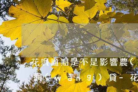 花唄逾期是不是影響農(nóng)商行的網(wǎng)貸-花唄逾期是不是影響農(nóng)商行的網(wǎng)貸額度