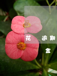 花唄逾期是不是有違約金(花唄逾期是不是有違約金)