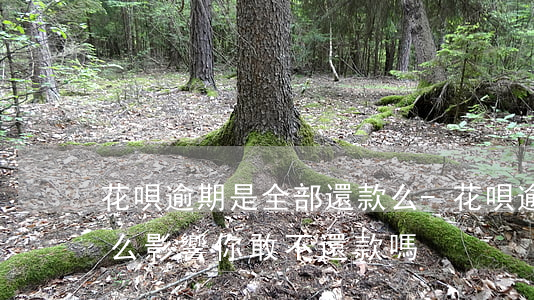 花唄逾期是全部還款么-花唄逾期還款有什么影響?你敢不還款嗎