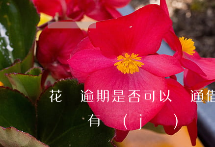 花唄逾期是否可以開通借唄(支付寶花唄逾期過還有機(jī)會開通借唄嗎)