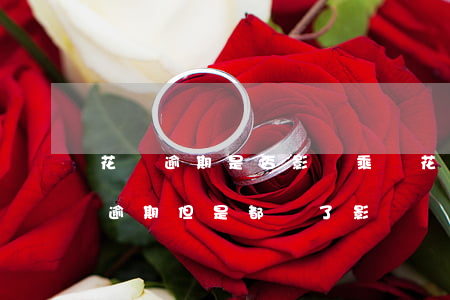 花唄逾期是否影響乘車(花唄有過(guò)逾期,但是都還了,影響買車貸款嗎)