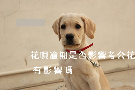 花唄逾期是否影響考公(花唄借款對考公務員有影響嗎)
