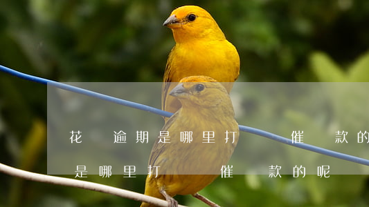 花唄逾期是哪里打電話催還款的-花唄逾期是哪里打電話催還款的呢