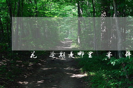 花唄逾期是哪里郵寄郵件