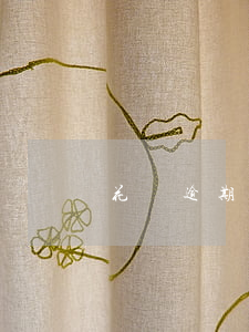 花唄逾期是啥樣(花唄逾期是啥樣)