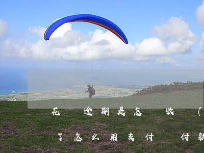 花唄逾期是怎樣收費(fèi)的(花唄逾期了怎么用支付寶付款)