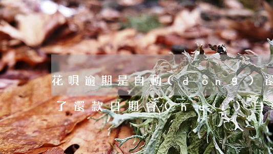 花唄逾期是自動(dòng)還款嗎(花唄到了還款日期會(huì)自動(dòng)還款嗎)
