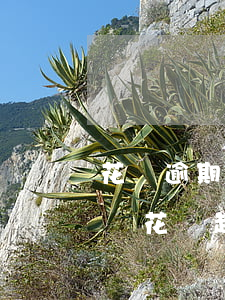 花唄逾期時(shí)間會(huì)累加嗎(花唄超過還款時(shí)間)