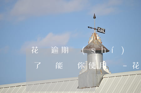 花唄逾期時(shí)間長(zhǎng)了還能讓你使用嗎-花唄逾期時(shí)間長(zhǎng)了還能讓你使用嗎安全嗎