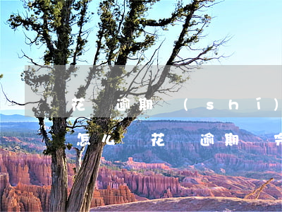 花唄逾期時(shí)間長(zhǎng)怎么辦(花唄逾期還完了,多久可以用花唄了)