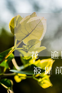 花唄逾期時(shí)間長(zhǎng)被提前收回怎么辦-花唄逾期時(shí)間長(zhǎng)被提前收回怎么辦呢
