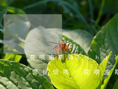 花唄逾期時(shí)間長了全額還款后影響征信嗎?-花唄逾期時(shí)間長了全額還款后影響征信嗎