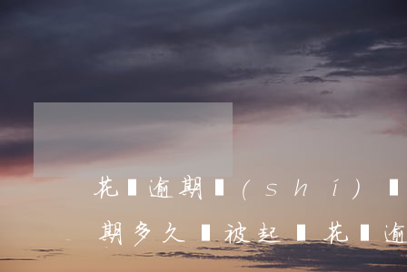 花唄逾期時(shí)間長會起訴嗎(花唄逾期多久會被起訴?花唄逾期怎么辦)