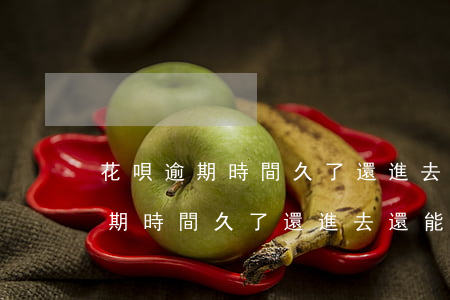 花唄逾期時間久了還進去還能用嗎-花唄逾期時間久了還進去還能用嗎怎么辦
