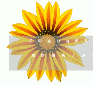 花唄逾期時間長了會影響銀行卡嗎-花唄逾期時間長了會影響銀行卡嗎安全嗎