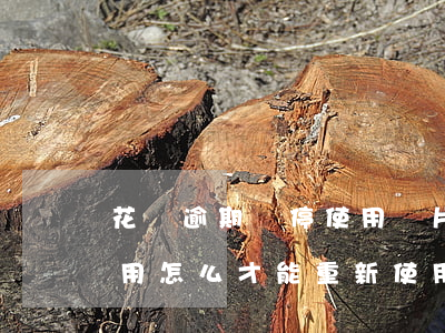 花唄逾期暫停使用圖片(花唄逾期了被暫停使用怎么才能重新使用)