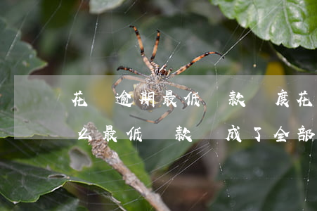 花唄逾期最低還款額度(花唄還款逾期了為什么最低還款變成了全部)