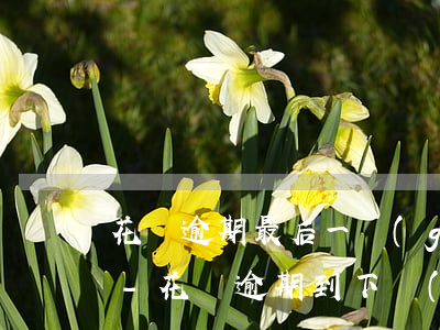 花唄逾期最后一個(gè)月是逾期了多久-花唄逾期到下個(gè)月,中間我有還款,還的是哪個(gè)月