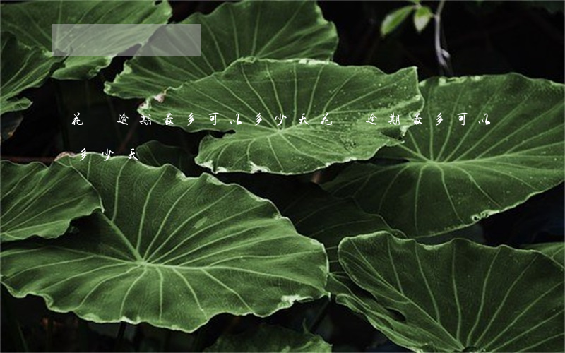 花唄逾期最多可以多少天(花唄逾期最多可以多少天)